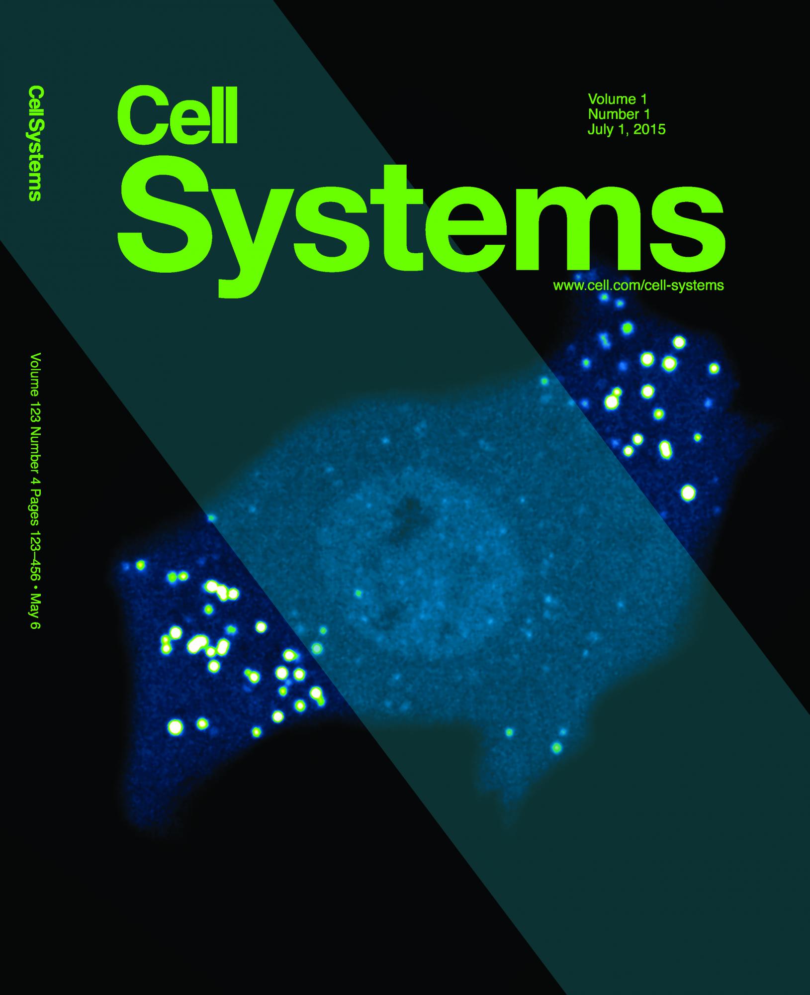 Dine et al 2018 cover