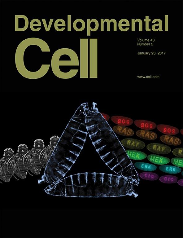 Johnson et al 2017