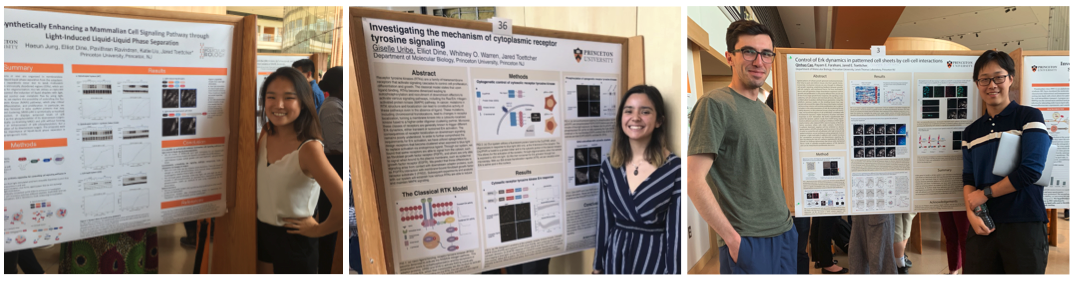 undergrad poster session